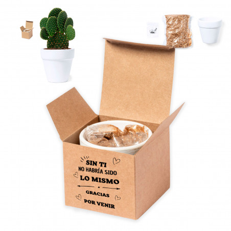 Pot en terre cuite avec graines de cactus dans une boîte personnalisée pour plus de détails