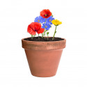 Graines en forme de bonbon pour planter des fleurs sauvages