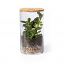 Terrarium anymak