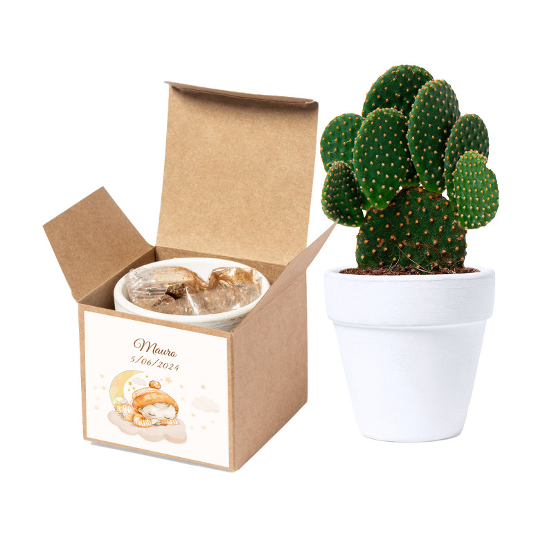 Pot de graines de cactus dans une boîte personnalisée pour baptêmes